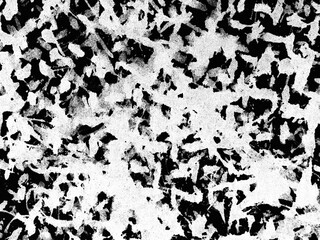 Abstract texture of black and white patterns with intricate details reminiscent of nature in a close-up view