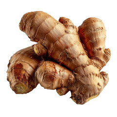 Fresh ginger root rhizome spice ingredient culinary herb cooking remedy isolated on transprint background