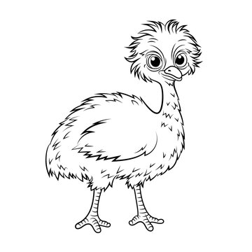 Doodle Vector Illustration of Emu in Cartoon Style. Isolated on white background. Perfect for animal-themed design projects, stickers and coloring book.