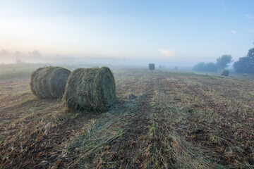hay bales in the foggy meadow