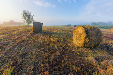 hay bales in the foggy field