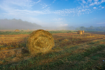 hay bales in the field
