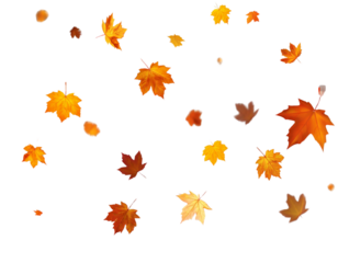 Autumn leaves falling, seasonal vector art, transparent background 