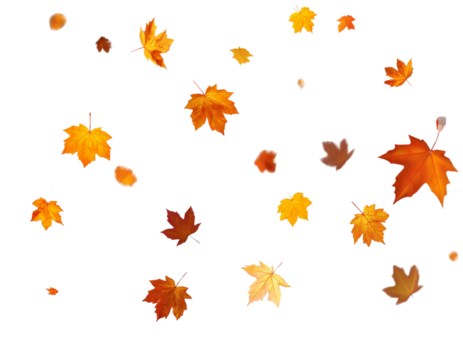 Autumn leaves falling, seasonal vector art, transparent background  - Powered by Adobe