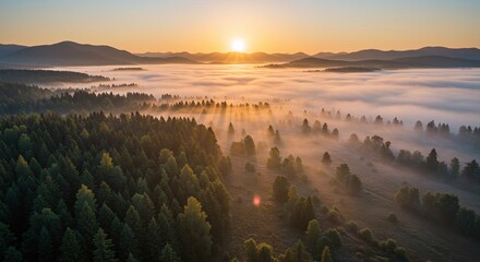 Sunrise Over Forested Mountains with Misty Valleys in Natural Light