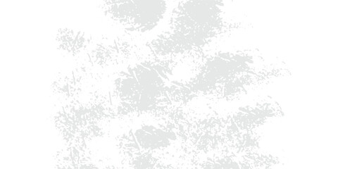 World map Grayscale,isolated on white background for website layouts,background,education, precise,customizable,Travel worldwide,map silhouette backdrop,earth geography, political modern