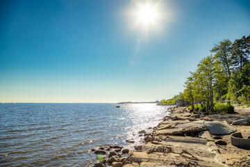 Crumbling concrete barrier on the sunlit coast of the Gulf of Finland contrasts with vibrant summer nature. Zelenogorsk, Saint Petersburg, Russia.

