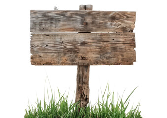 Fototapeta premium old wooden sign with grass for text copy space isolated on white or transparent png