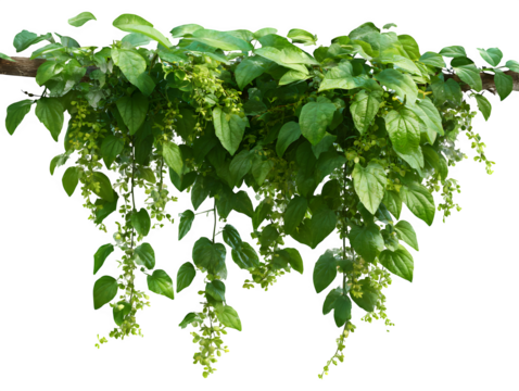 Cute newborn crochet shoes in light pink with rounded toe and detailed stitching, isolated on transparent background