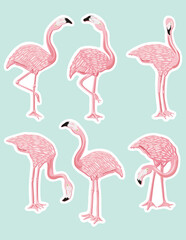 Obraz premium Graceful Pink Flamingo Poses Vector Collection