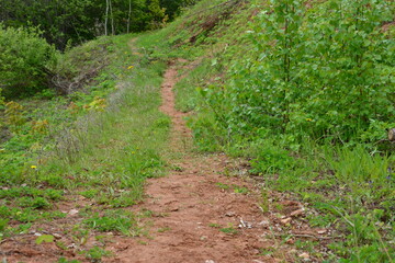Dirt Path Winding down a Hill Through Grassy Landscape
