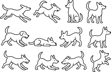 Dog poses playful running sitting lying down canine animal