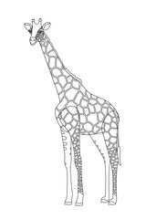 vector cartoon animal isolated on transparent background. black and white style