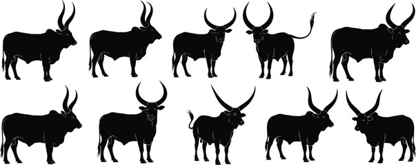 Set of Ankole-Watusi cattle silhouettes with large horns, ideal for farming, livestock design, wildlife, animal icon, rural artwork