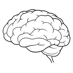 Illustrated outline of a human brain in a minimal style  