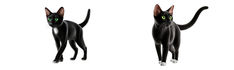 Realistic Black Cat Characters with Green Eyes for Creative Projects