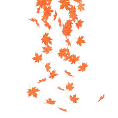 autumn leaves background