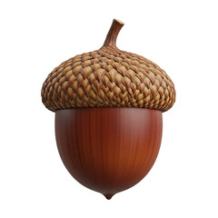 acorn on white background