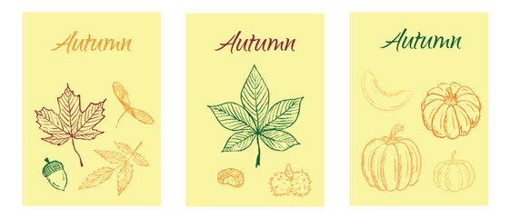 Autumn symbol illustration with leaves, acorns, pumpkins in black brush stroke texture isolated on white. Hand drawn vector sketch illustration in vintage charcoal ink. Invitation, greeting card
