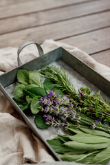 Fresh aromatic herbs including mint, lavender, sage, rosemary and oregano on a rustic metal tray. Organic ingredients for cooking, essential oils, herbal teas