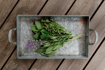 Fresh aromatic herbs including mint, lavender, sage, rosemary and oregano on a rustic metal tray. Organic ingredients for cooking, essential oils, herbal teas. Top view