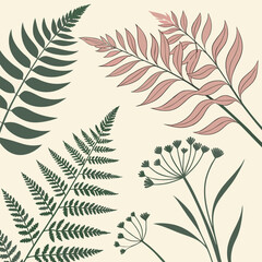 Botanical illustration featuring ferns and leaves in minimalist style suitable for various design projects