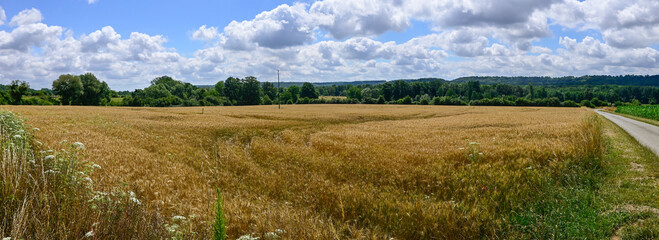  Panoramic photo of the landscape with a paved road running alongside it, against a blue sky and white clouds. Location: Chermizy-Ailles (France)
