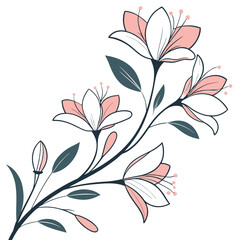Elegant floral illustration featuring pink and white lily flowers with delicate linear outlines