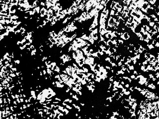 Textured black and white pattern resembling a natural landscape with intricate details