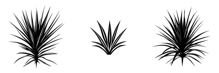 Obraz premium Collection of black agave plant icons in minimalist style featuring three different shapes and sizes