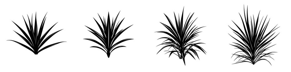 Black silhouette icons of succulent plants arranged in a row