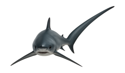 Thresher shark characterized by an elongated tail fin nearly as long as its body