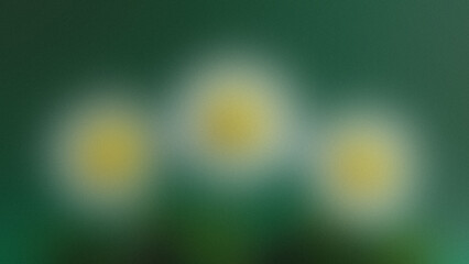 Three blurred yellow flowers with white petals on a green background