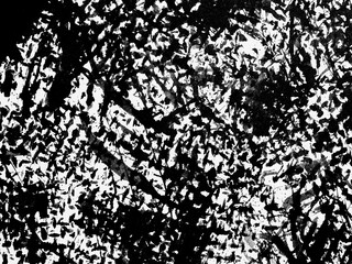 Intricate abstract patterns in black and white showcasing textured art elements