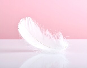 Delicate white feather on a soft pink and white surface