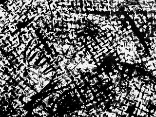 Intricate black and white abstract art featuring organic shapes with contrasting textures and patterns