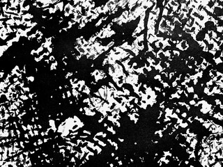 Abstract black and white textural pattern captured in a contemporary artistic style during daylight...