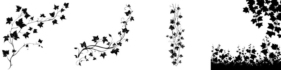 This image depicts a black silhouette of an ivy vine, complete with intricate leaves and stems, embodying both botanical and ornamental sophistication, as a modern clipart illustration