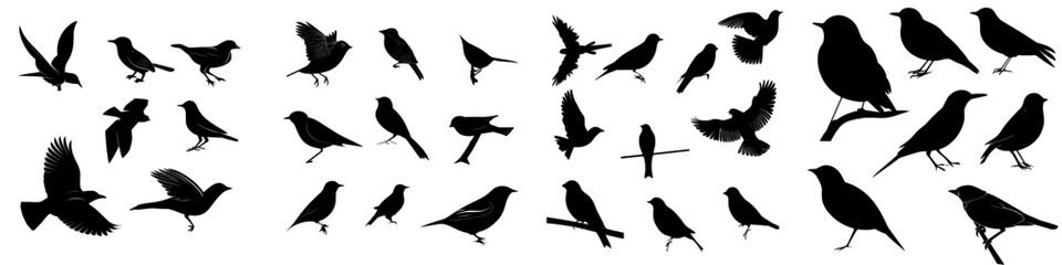 Obraz premium Modern graphic design featuring a black bird in various poses, including flight and perched, set against a white background in a sleek illustration style