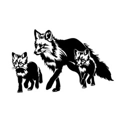 Fototapeta premium Artistic illustration of a monochrome fox family walking forward isolated on a white background