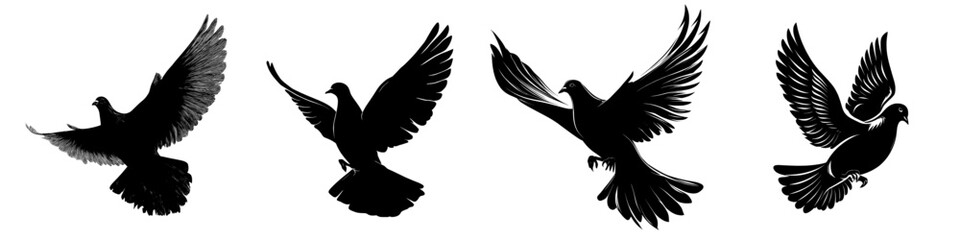 This image depicts a mourning dove, also referred to as a pigeon, in a black silhouette with intricate wings and a poised flight stance, presented in a modern clipart style