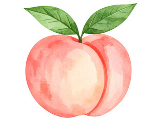 Watercolor Peach Fruit with Leaf &ndash; Artistic Food PNG 