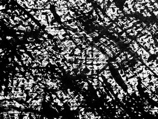Abstract black and white pattern resembling tangled branches on a textured surface