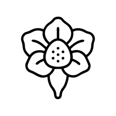 Outline illustration of Rafflesia arnoldii flower in black and white  