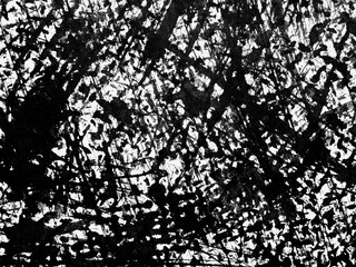 Abstract black and white artwork featuring dynamic brush strokes and textured patterns created on canvas
