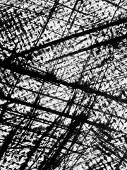 Abstract texture showcasing intricate black and white lines resembling chaotic patterns in nature...