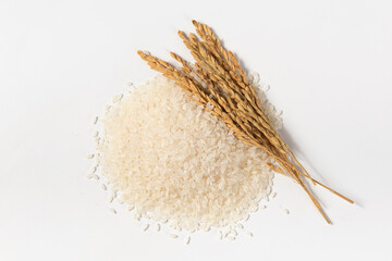 raw rice with wrapped in husks isolated on white background.