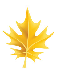 A Vibrant Autumn Maple Leaf Displaying a Bright, Striking Orange Color in Natures Beauty