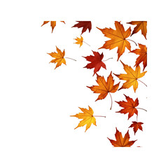 Falling Autumn Maple Leaves on Transparent Background - Seasonal Design Element