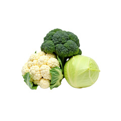Fresh Broccoli, Cauliflower, and Cabbage Harvest